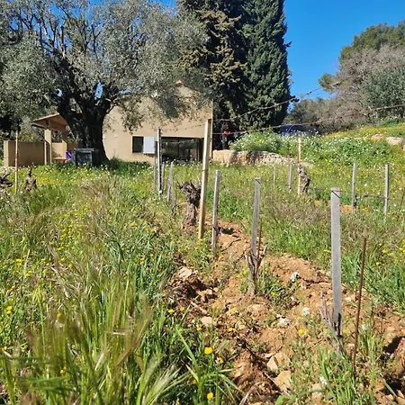 Du Domaine