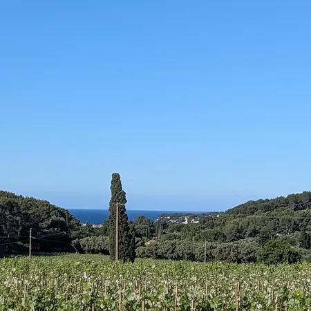 Du Domaine