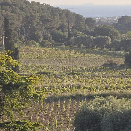 Du Domaine